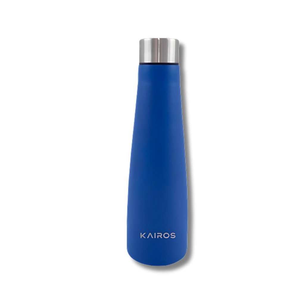 Chill Hot Double Walled Stainless Steel Flask (500ml)